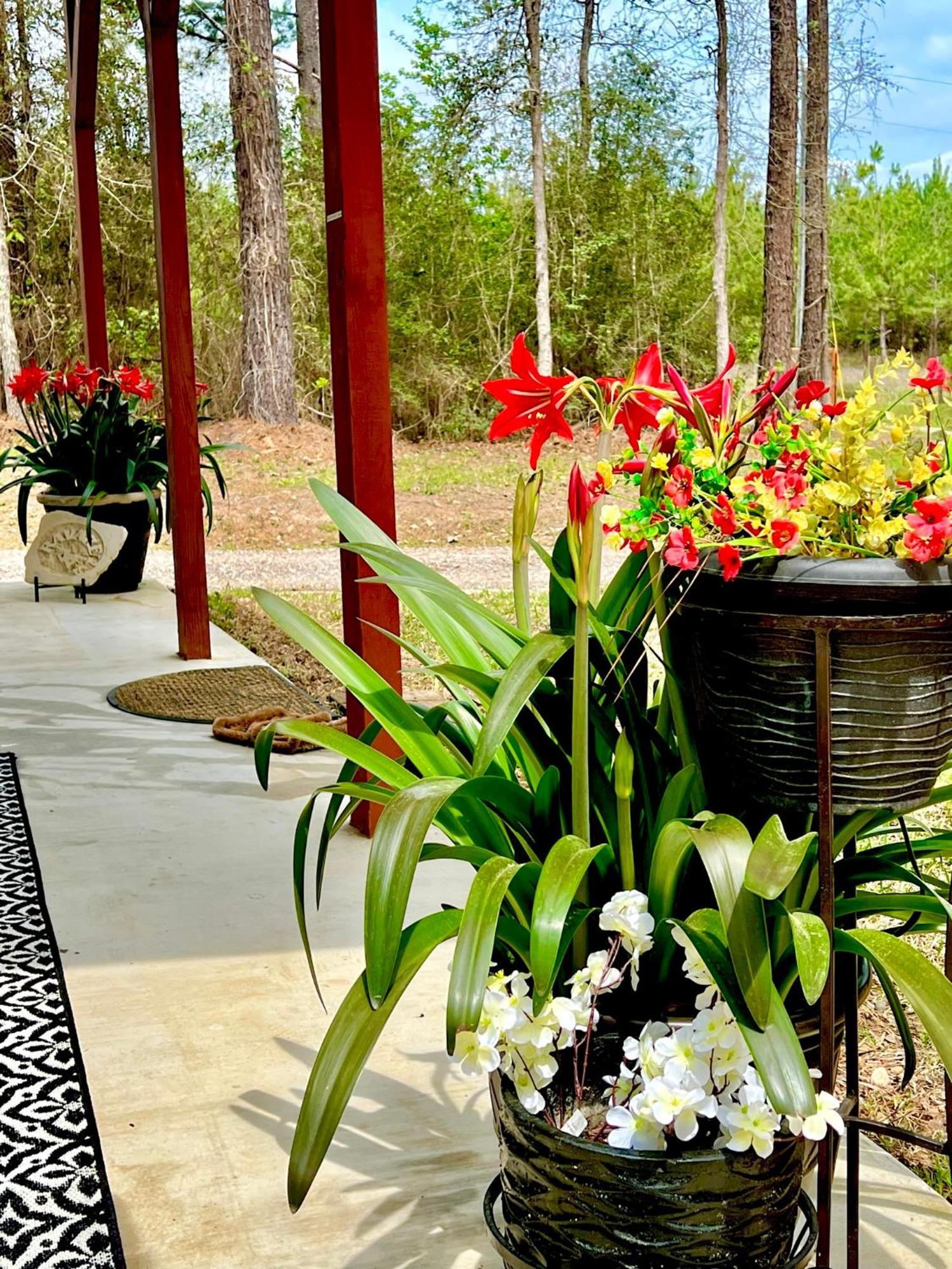 A Tranquil Retreat Loaded With Ambiance! Sleeps 10 Βίλα Platt Εξωτερικό φωτογραφία